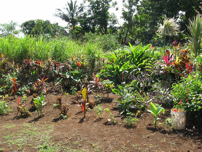 IMG_0740 We're expanding the garden a bit at a time.