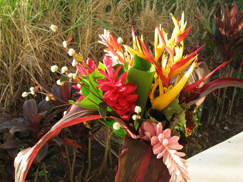 IMG_0776 Bouquet from our garden for the new year 2008.