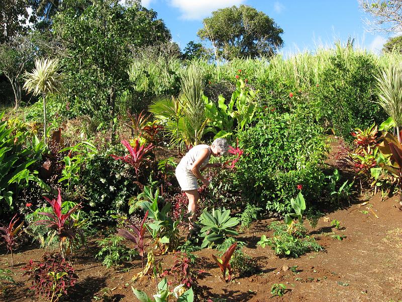 IMG_0875 A woman of the soil!