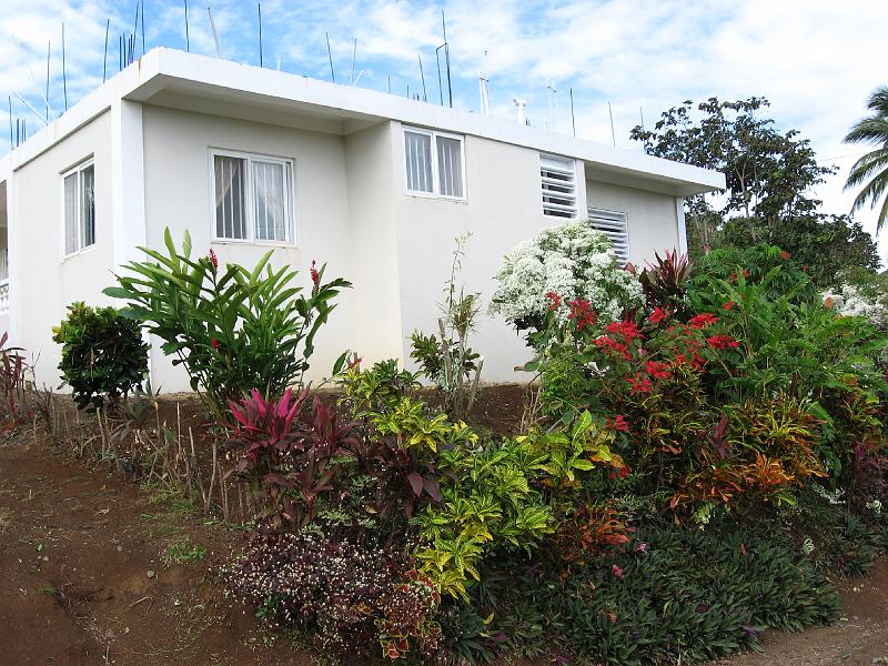 IMG_0881 We start pruning our front garden.