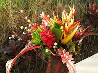 IMG_0776 Bouquet from our garden for the new year 2008.