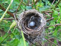 IMG_0799 This less than 3