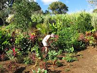 IMG_0875 A woman of the soil!