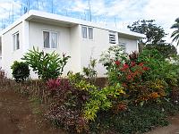 IMG_0881 We start pruning our front garden.