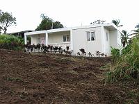 IMG_0913 A new neighbor is moving in on the land on the south (back) side of our house. With the land cleared of tall grass, it's the first view of our place from the south looking north. By our return, there will be a wall along our line of leafy bushes.