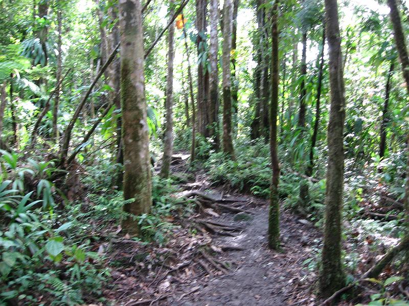 IMG_0858 Spanney's Falls trail.  The path to the first of the two falls is an easy walk, but the short distance to the second falls is a tough steep path that requires hauling oneself up the path with the aid of a rope.