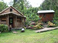 IMG_0824 Cabins at Rainforest Paradise, a resort in the sentral montain area with a focus on healthy living.  Visit www.rainforestparadise.com.