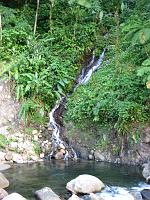 IMG_0835 A small stream falls bordered with impatiens flowers into the main river.