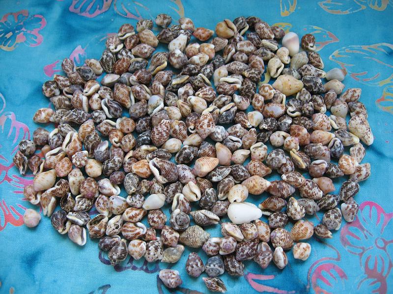 IMG_0887 Another cleaned batch.