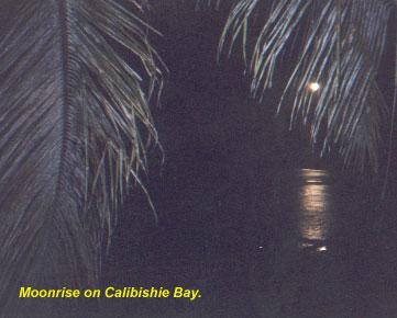 calabishie-moonlight 