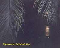 calabishie-moonlight 