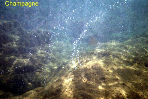 champagne-2 