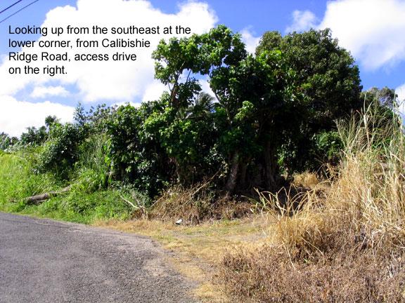 our-land-lower-corner 