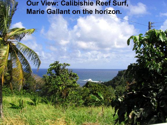 our-land-view The following several slides are views of our land in Calibishie, when we purchased it on February 26, 2004.  We've build a ground-floor vacation lodge, and we'll build our house on the upper portion, and the view from our shady north veranda will be spectacular .