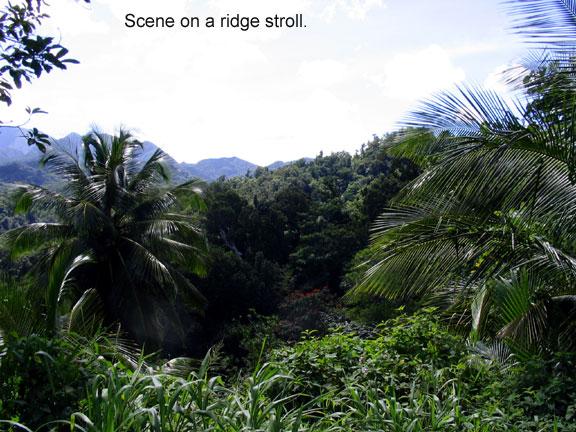 ridge-walk-1 We took these two photos on a stroll along a ridge trail.