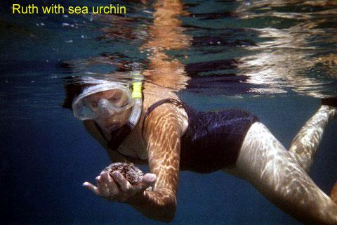 ruth-seaurchin 
