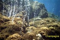 champagne-1 Undersea at Champagne & Douglas Bay: Champagne is near the village of Soufriere, well south on the Caribbean coast, and it is famed for the volcanic gas bubbles that rise from the seabed amidst the coral and fish.  Douglas Bay is north on the Caribbean cost, between the Cabrits and the village of Toucari.