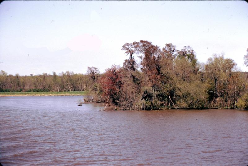 bayou-20 We're entering bayou country in the vast Mississippi delta off the main dredged river ship channel.