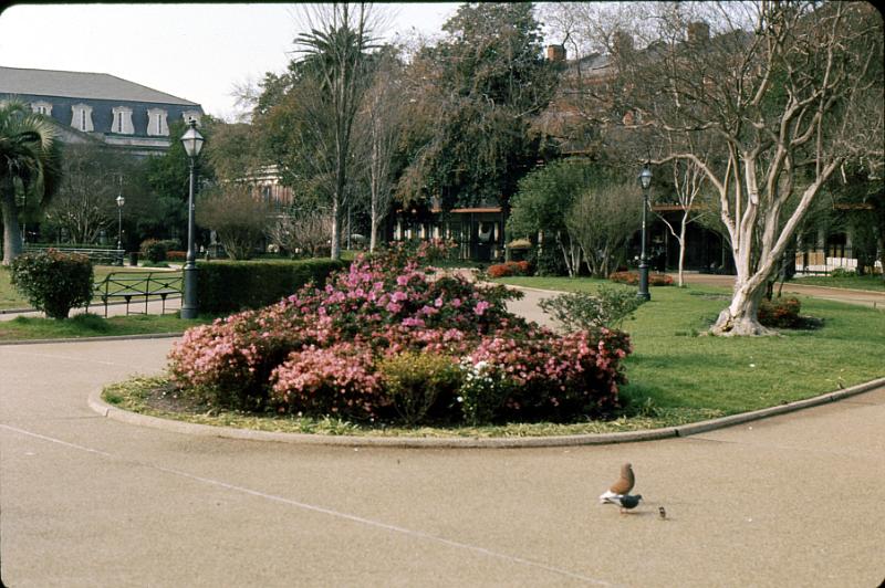 quarter-42 Inside Jackson Square, named for the city's hero of the Battle of New Orleans (fought after the war had ended, but the combatants hadn't heard), Andrew 