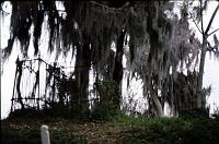 bayou-02 It also makes a great horror movie location!