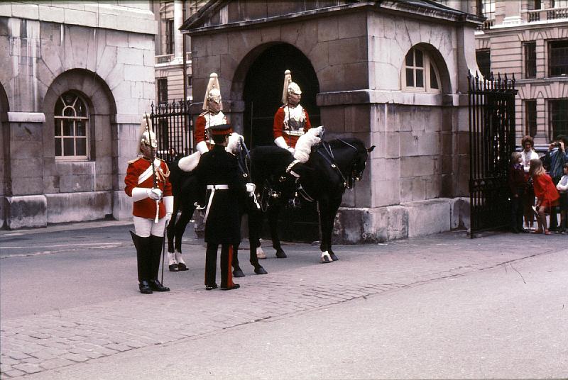 Horse_Guard_9 