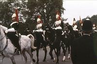 Horse_Guard_12_mounted_troop 