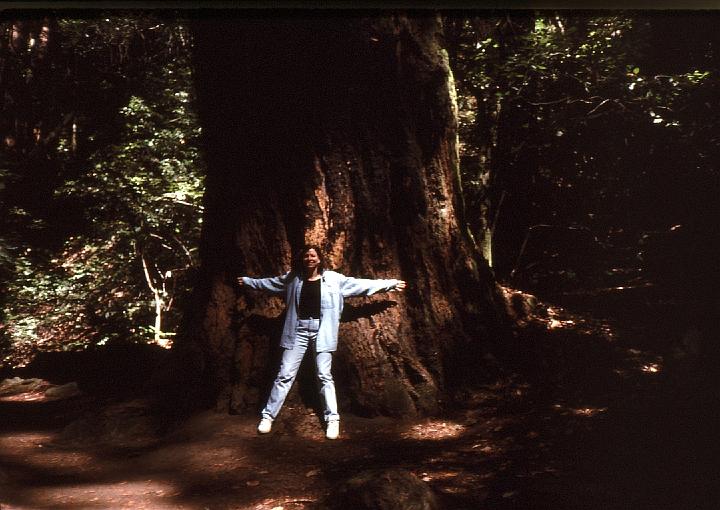 03-Ruth_tree-hugger Ruth and a redwood