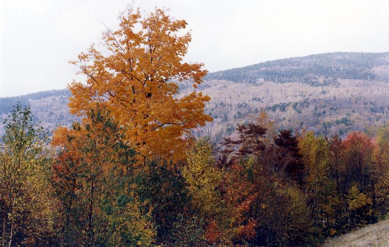 04 Fall foliage color in New England