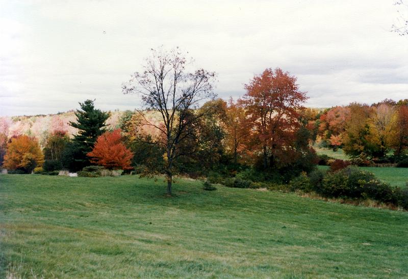 19 Fall foliage color in New England