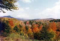 20 Fall foliage color in New England