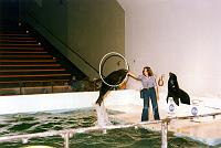 04 At the indoor sea lion & dolphin exhibit aboard a specially-designed ship (also now gone), the animals performed a few times each day.  They weren't tired out, because different teams of animals performed, each only once per day. Here, a sea lion jumps through a hoop while another claps and barks.