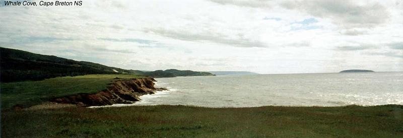 13-whalecove Whale Cove, Cape Breton is on the southwestern coast. This beautiful spot contains a cemetary. Too bad the residents can't appreciate the view! (Or sample the delicious and abundant wild strawberries.)