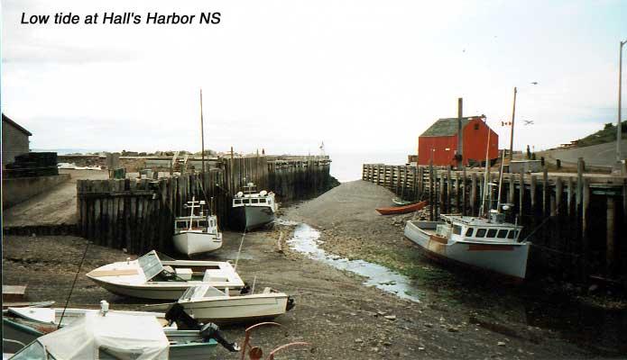 15-hallsharbor Hall's Harbor, Nova Scotia: Hall's Harbor is on the Bay of Fundy, west of Cape Blomindon. Ruth and I shared a 4.25-pound lobster here. During the time from when we arrived, selected our lobster (it was a blue male, by the way) had it cooked (37 minutes) and shared it (Ruth got the larger claw), the tide had raised the boats that were grounded at our arrival. The tide comes in at about an inch per minute.