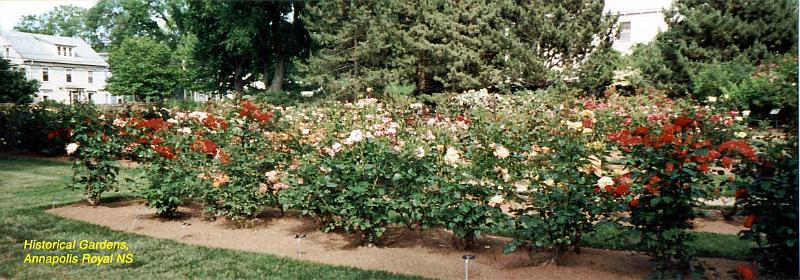 21-histgarden Historical Gardens at Annapolis Royal, Nova Scotia: Annapolis Royal is a beautiful town and one of the oldest settlements, originally of the French, in Nova Scotia. Annapolis Royal is located on the western coast of the Nova Scotial peninsula, and at the top (or eastern) end of the Annapolis Valley. The town hosts a fort, the only tidal electric power generating plant in North America, and the Historical Gardens. Also to be found there is Newman's, the best restaurant we found in Nova Scotia, and not overly expensive, either. The Historical Gardens are so named because each garden within the compound is set up as a garden would have been at a particular time in history.