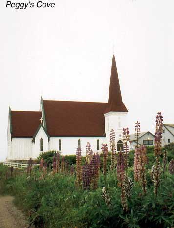 23-peggyscovechurch We reallyn loved the lupines growing all around.