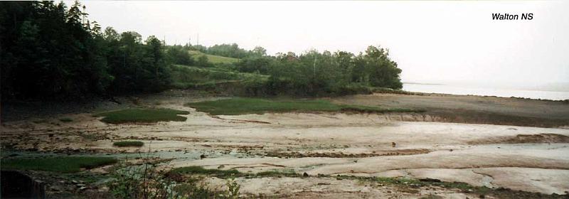 7-walton Walton, Nova Scotia: Walton is near Burntcoat and also has 45- to 50-foot tides. Unlike Burntcoat's soft red soluable sandstone, Walton has tidal flats of harder black stone. At about an hour before low tide, wier fishermen drive their cars out to their fishing wiers to collect netted fish and drive out before the return tide advances. A wier is a u-shaped net. The open end of the wier faces the beach. Fish flow into the closed end and are trapped when the tide falls. Bald eagles also gather here to feast on fish that have been stranded by the outgoing tide.