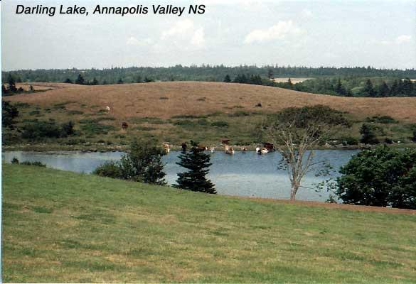9-darlinglake Along the Evangeline Trail, Nova Scotia: We passed by Darling Lake, just north of Yarmouth, on our way to the ferry. The lake is a beautiful pastoral scene. Please forgive my mislabeling the photos. Darling Lake is not in the Annapolis Valley.