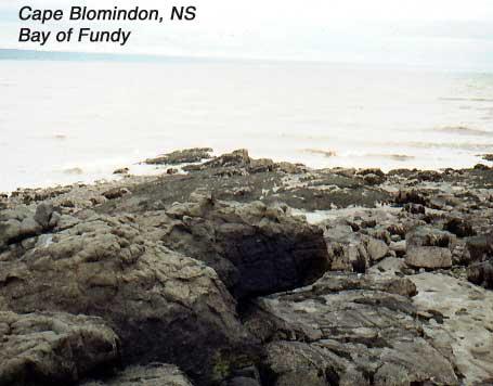 blomindon-3 