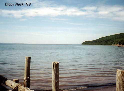 digbyneck-1 Digby Neck, Nova Scotia: Digby Neck is below the town of Digby, which has a ferry to New Brunswick. The drive down Digby Neck leads to Petit Passage, with a ferry to Long Island.