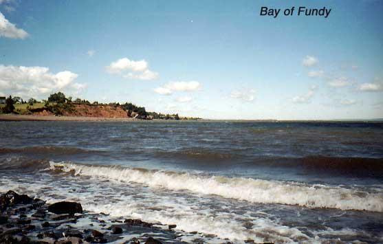fundy-2 