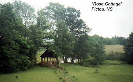 rosecottageyard 