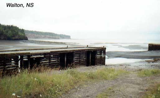 walton-1 The photo above and the onefollowin it were taken at low- and mid-tide, respectively.