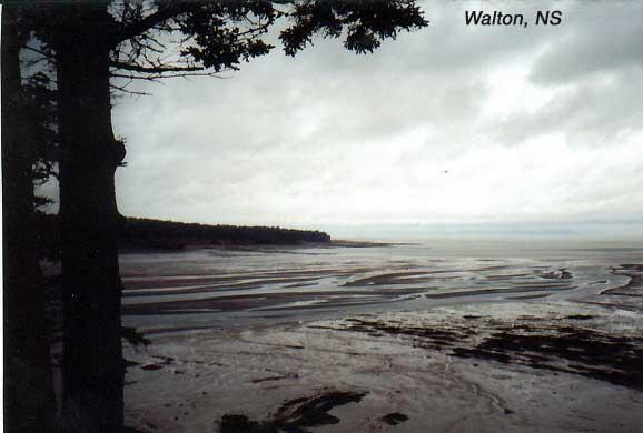 walton-2 