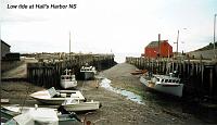 15-hallsharbor Hall's Harbor, Nova Scotia: Hall's Harbor is on the Bay of Fundy, west of Cape Blomindon. Ruth and I shared a 4.25-pound lobster here. During the time from when we arrived, selected our lobster (it was a blue male, by the way) had it cooked (37 minutes) and shared it (Ruth got the larger claw), the tide had raised the boats that were grounded at our arrival. The tide comes in at about an inch per minute.