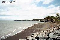 fundy-1 