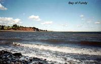 fundy-2 