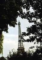 Eiffel_tower_thru_trees 