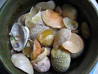 IMG_0601 Shells in bowl