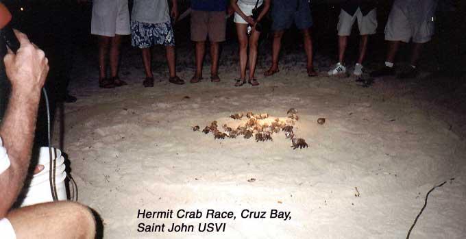 crabrace What to do at night? There's always the excitement of hermit crab races.