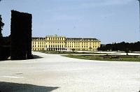 palace_with_clipped_tree Schönbrunn Palace